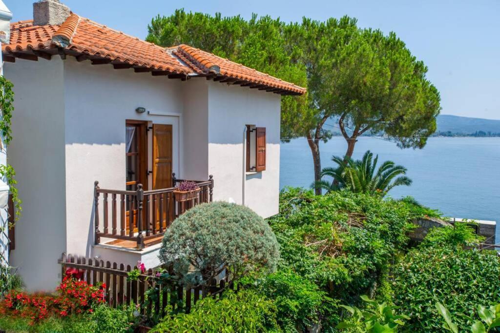 Natali'S Villa By The Sea Kato Gatzea Exteriér fotografie
