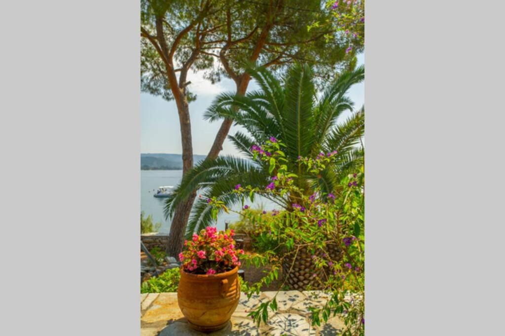 Natali'S Villa By The Sea Kato Gatzea Exteriér fotografie